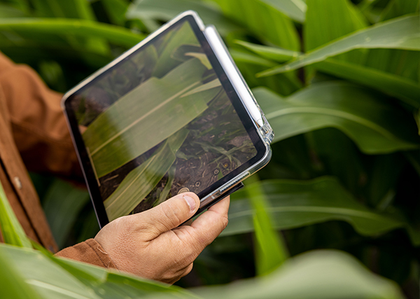 TECHNOLOGY THAT WORKS FOR YOU