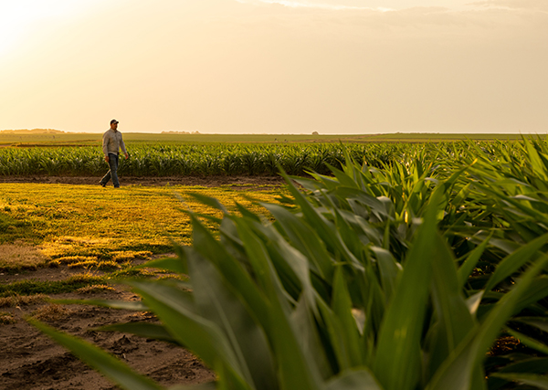 FORWARD-THINKING SERVICE